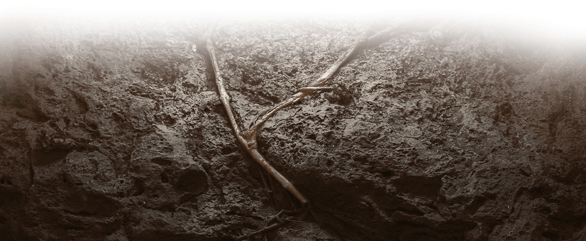 footer desktop background