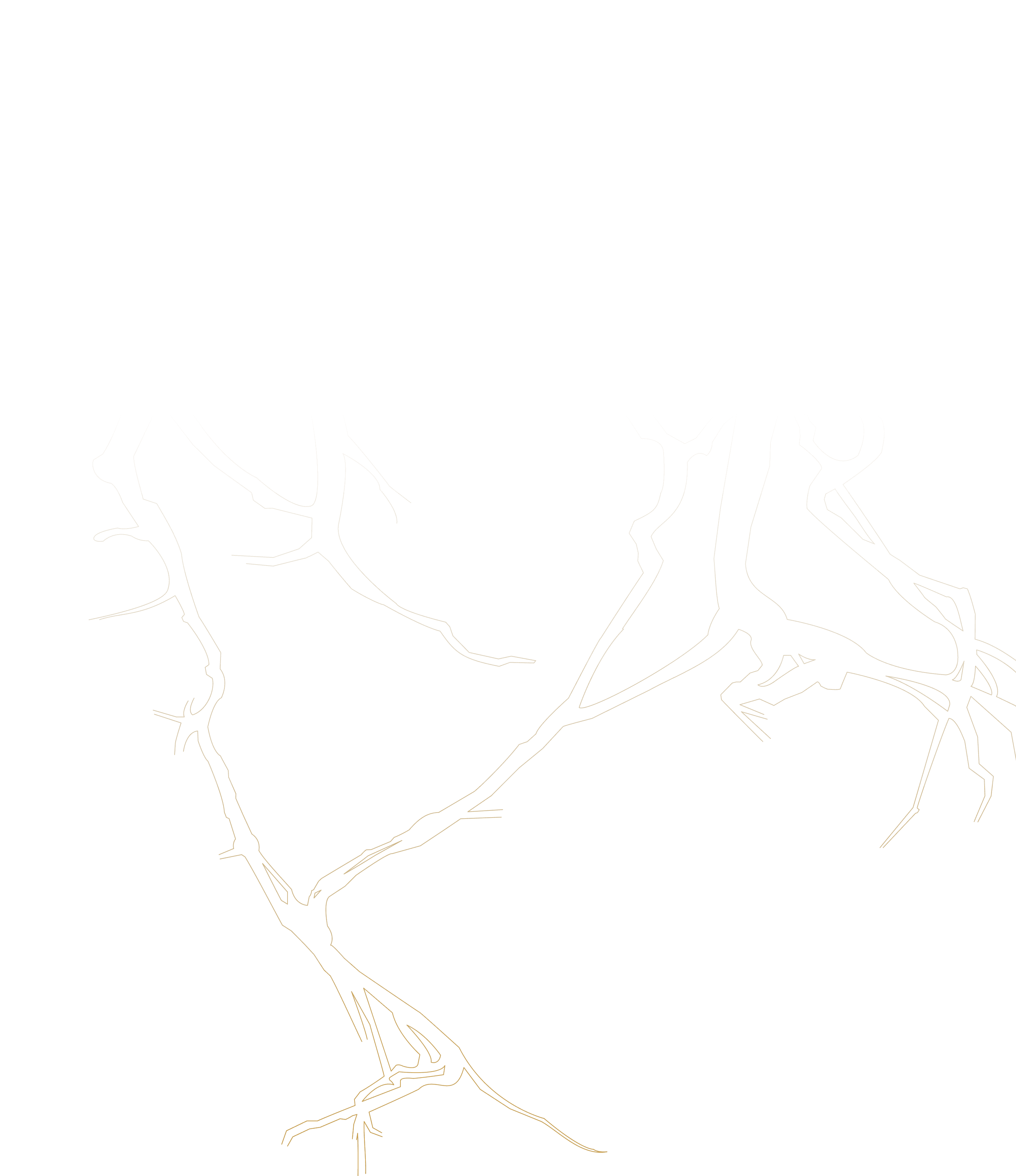 樹枝