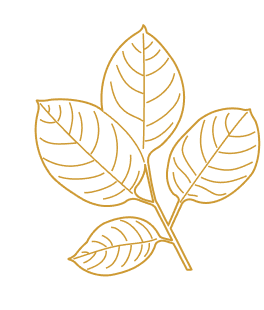 leaves decoration